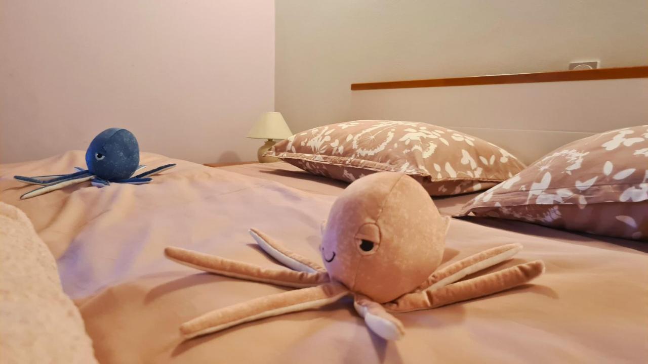 Apartmán Navita